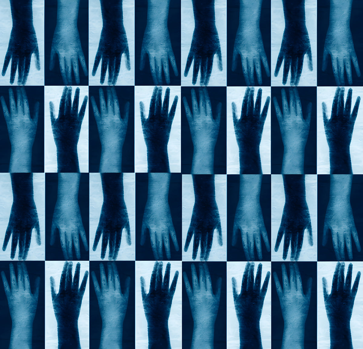 Amy Heller 'Hands' Art Scarf